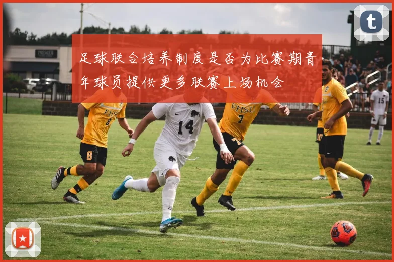 足球联合培养制度是否为比赛期青年球员提供更多联赛上场机会