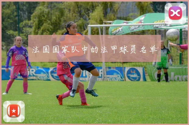 法国国家队中的法甲球员名单